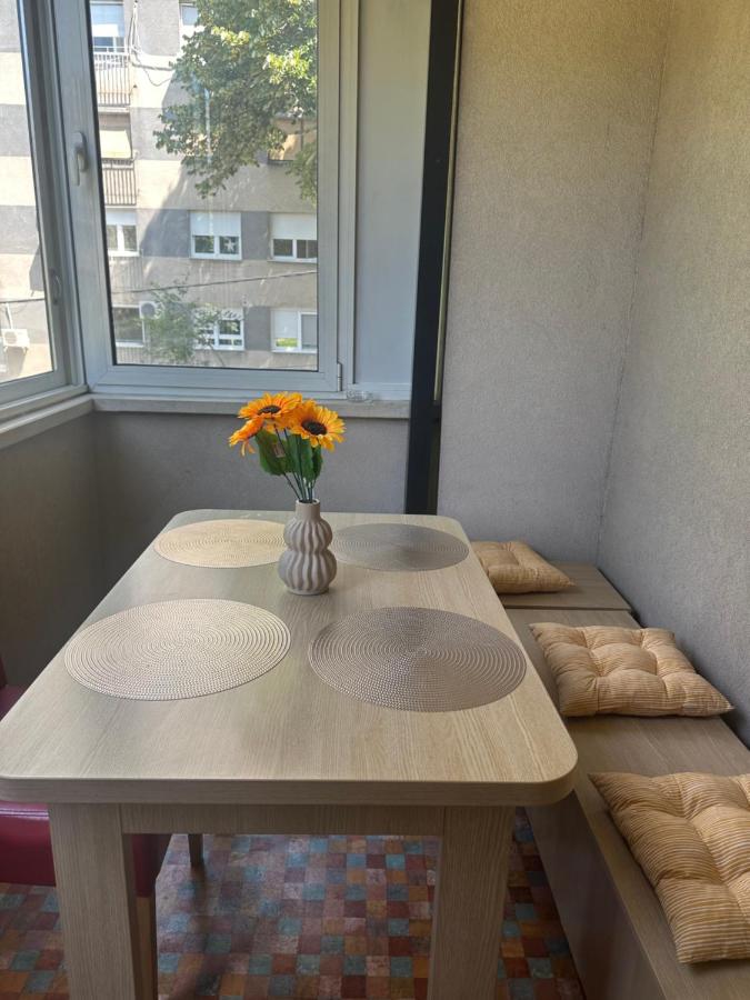 Cozy two bedroom in Belgrade - Bed and Breakfast Belgrado