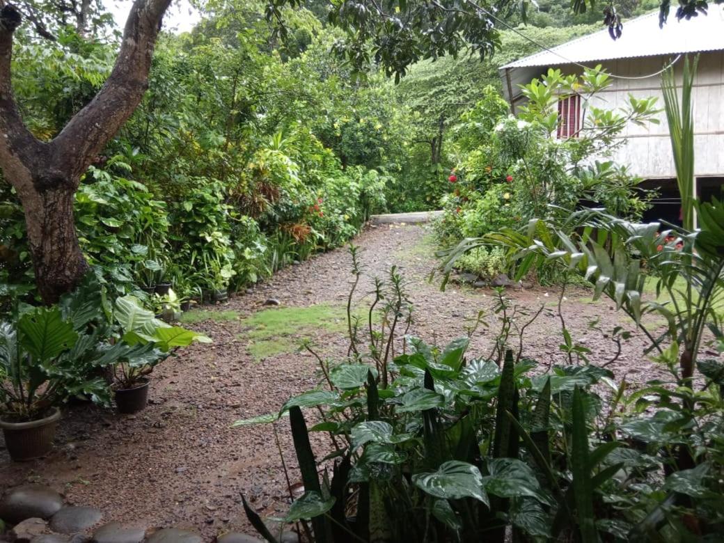Komachi House - B&B