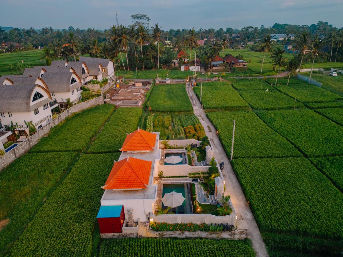 Arca Bali Villa 1 - B&B Ubud