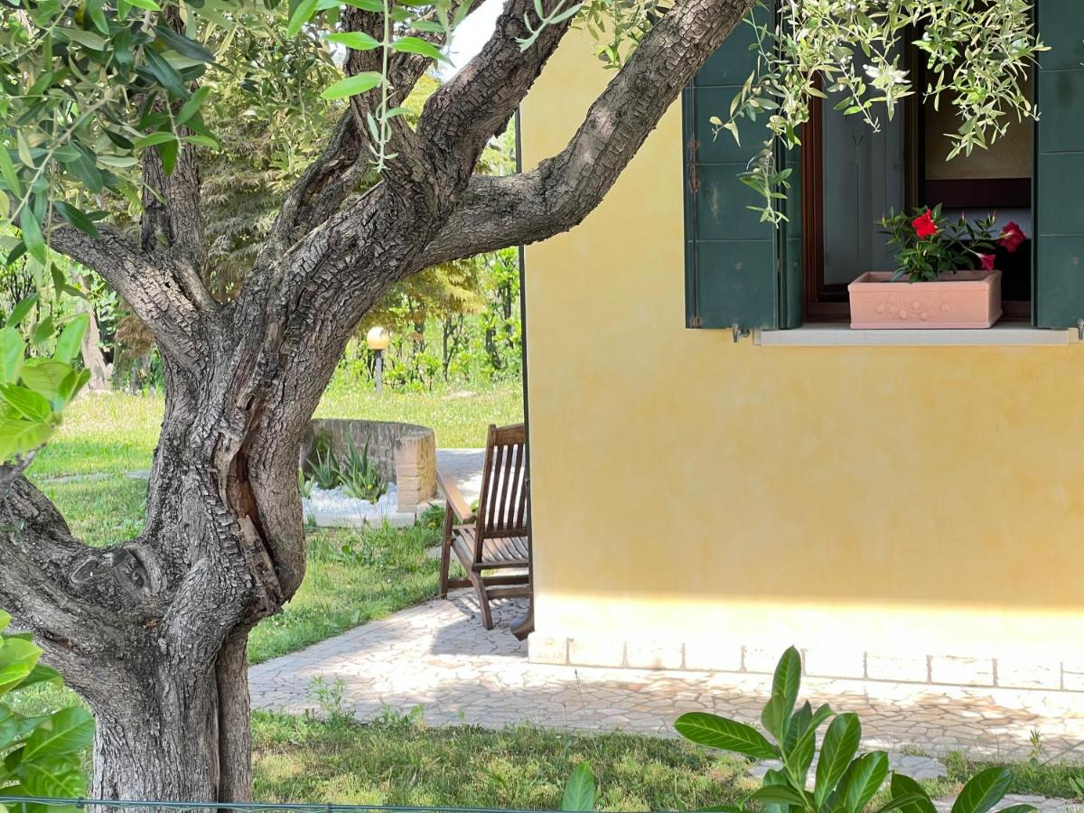 Villa Oasi Mariuccia - Relax e Mare - B&B Lido di Iesolo
