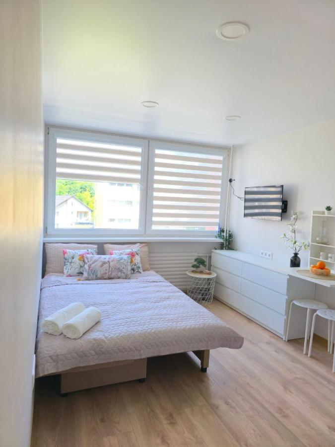Studio 11 - B&B Druskininkai