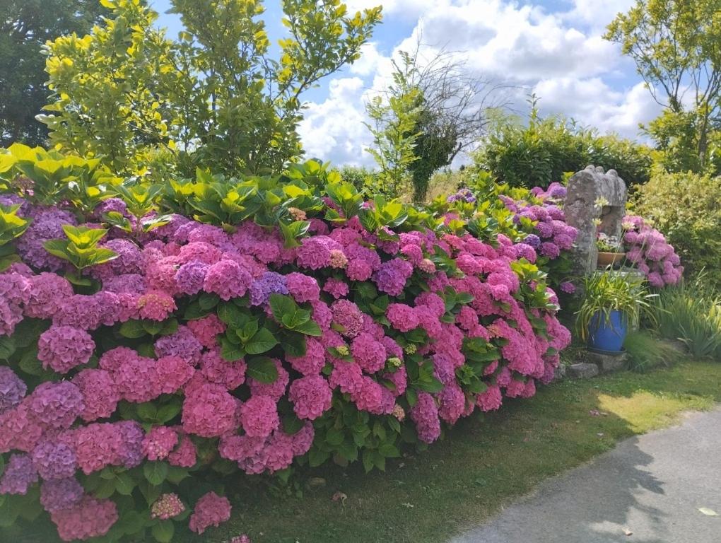gite proche de la ria d'ETEL - B&B Plouhinec