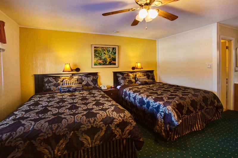 Chambre avec 2 Grands Lits Queen-Size