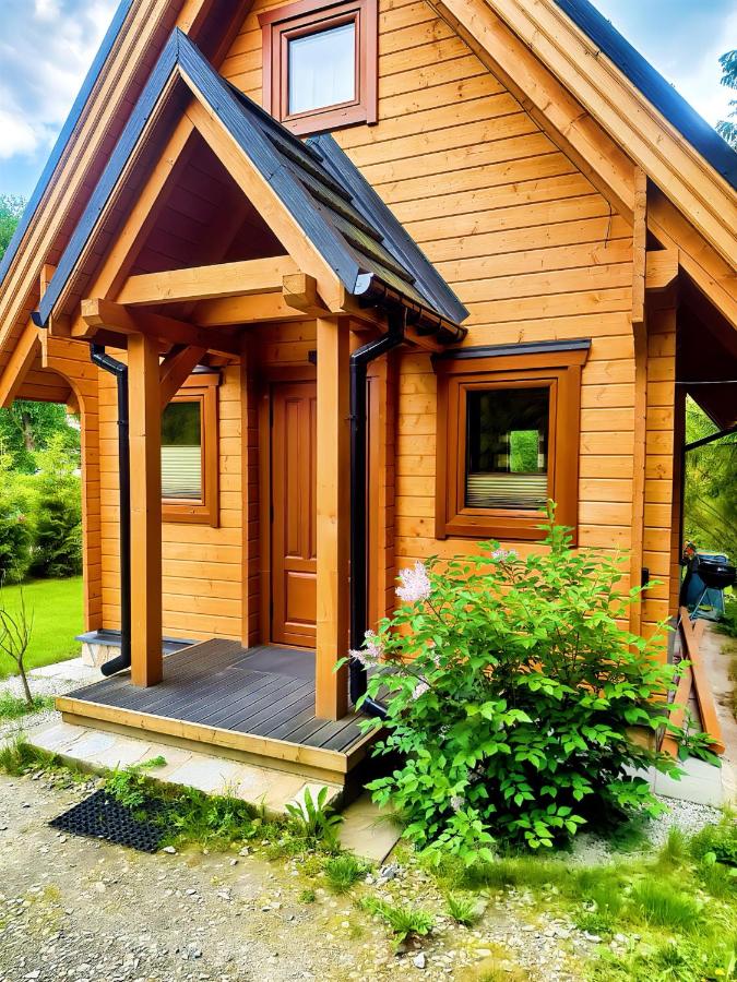 Domki Janosik - Elegancki domek w górach, na szczelnie ogrodzonej indywidualnej działce, przyjmujemy psy bezpłatnie, w Łopusznej, niedaleko Nowego Targu i Białki Tatrzańskiej na Podhalu - B&B Łopuszna