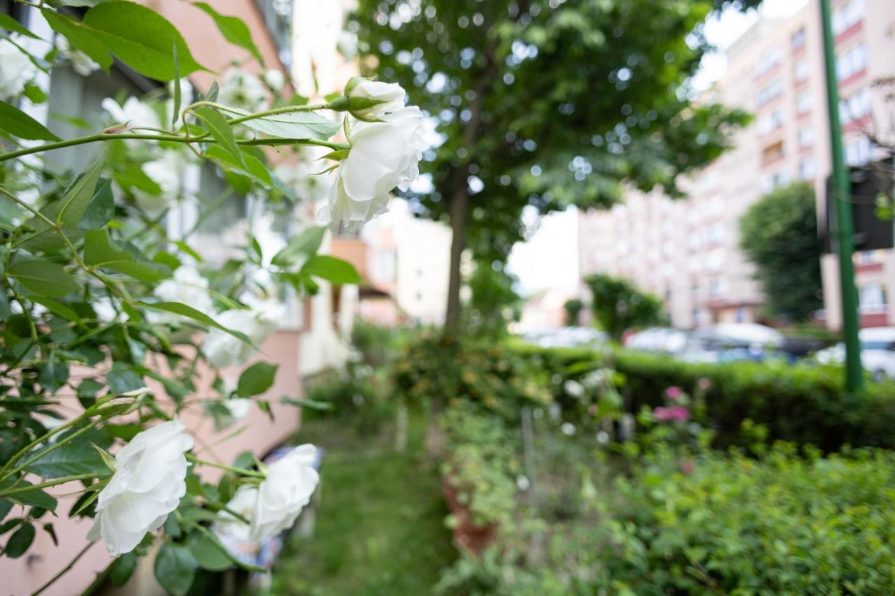 Gabi's Appartment - B&B Braşov