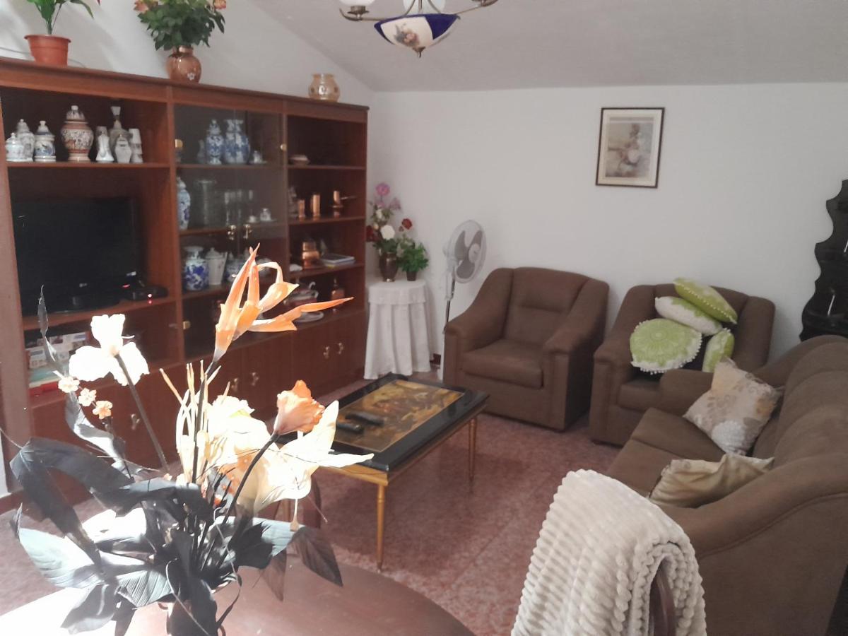 Casa dos Netos - B&B