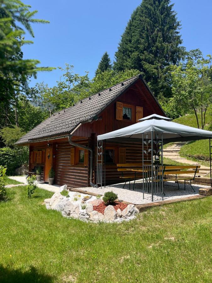 Cottage Ladybug - B&B Mojstrana