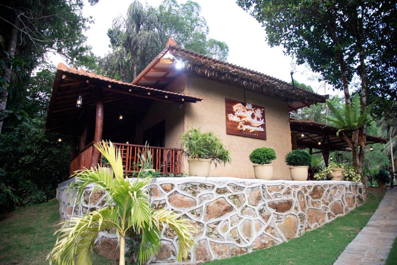 Villa Springwater Dellawa - Bed and Breakfast Ihalapanangala