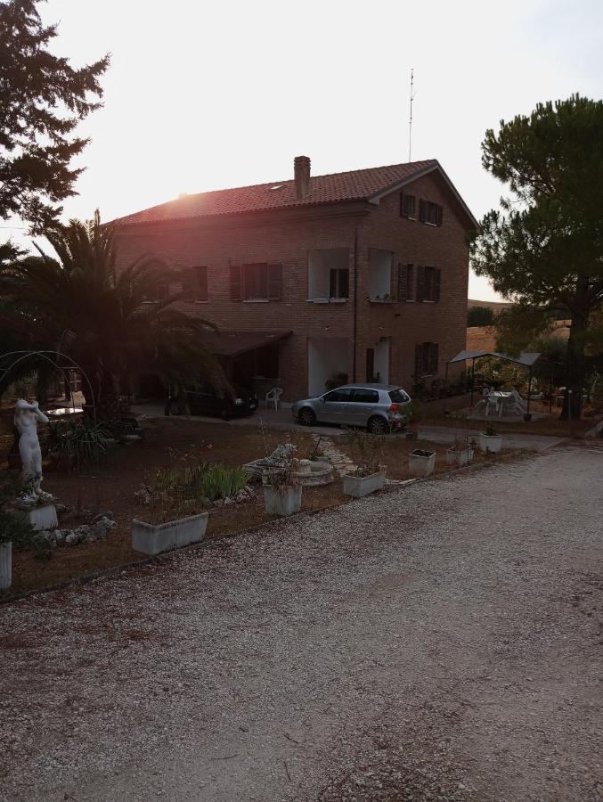 Oasi verde - Ferienwohnung Senigallia