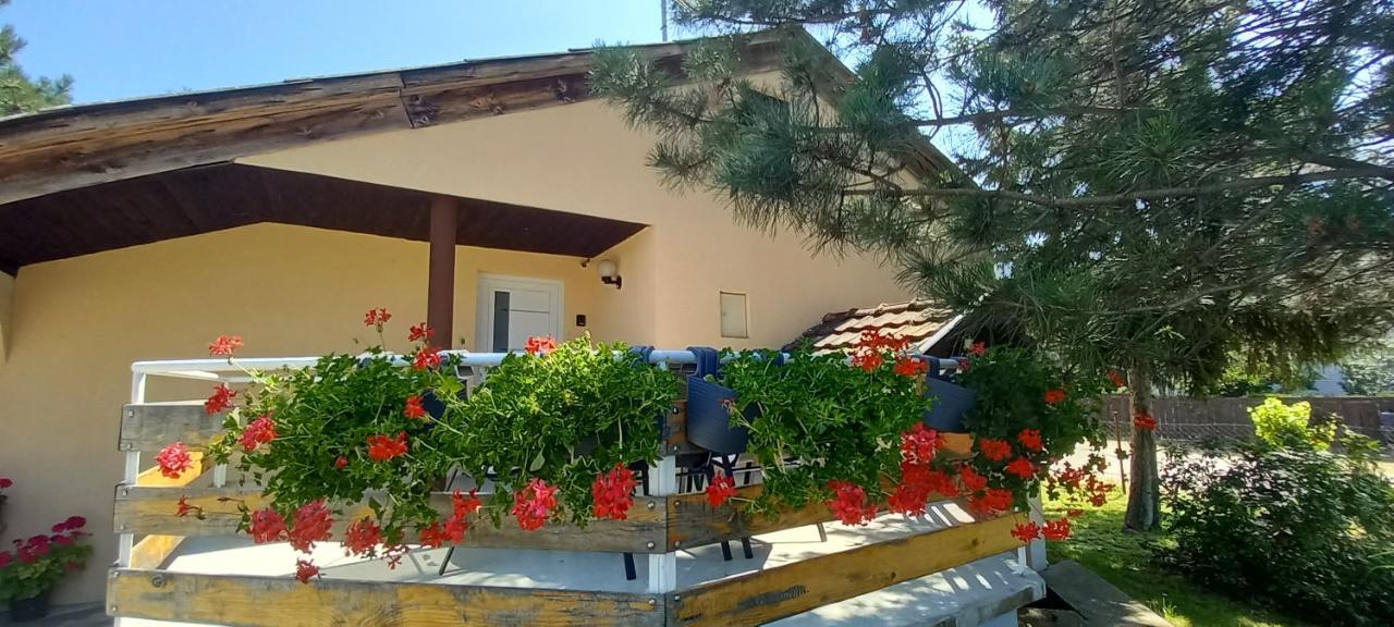 PIAR - B&B Subotica