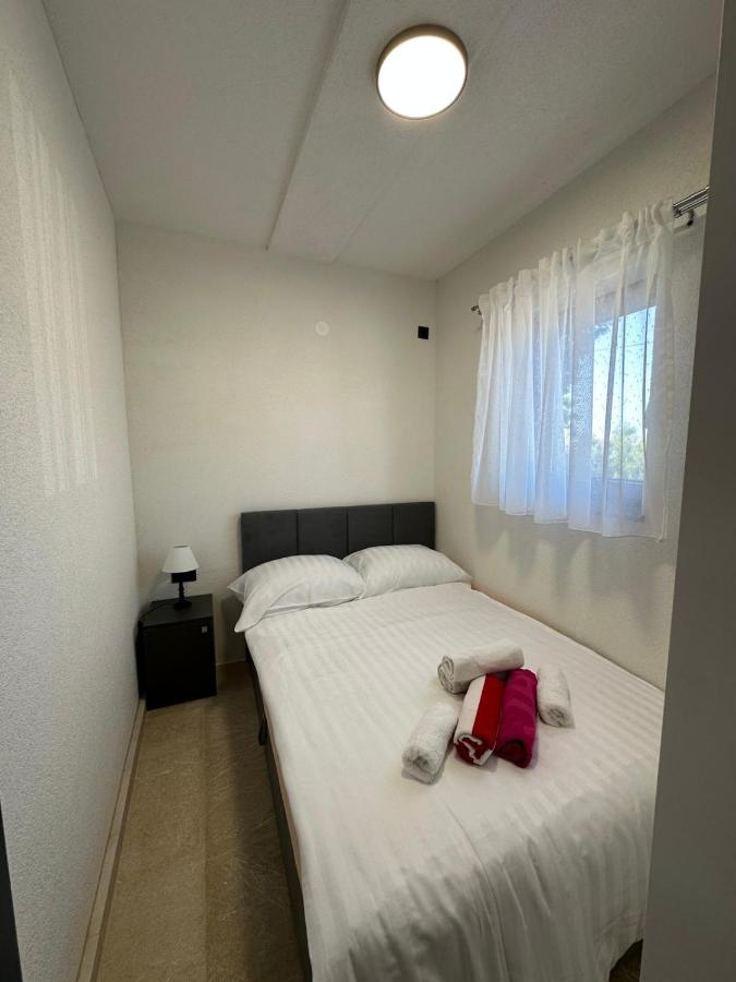 Apartment - Erdgeschoss