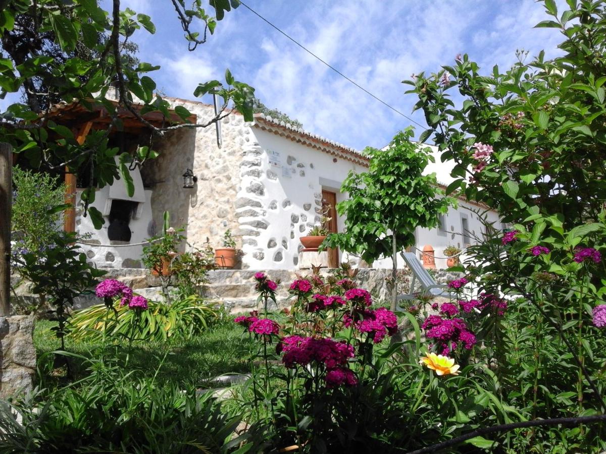 B&B Monchique - Quinta do Tempo Turismo Rural - Bed and Breakfast Monchique