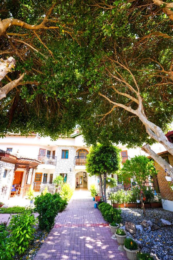 Şahin Villa Apart - B&B