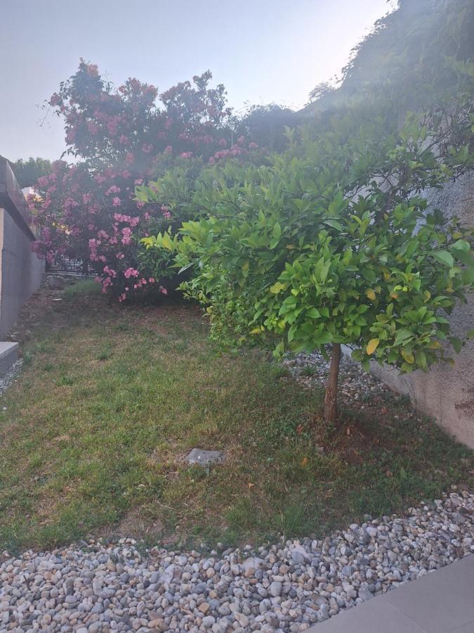 Laures - B&B Ičići