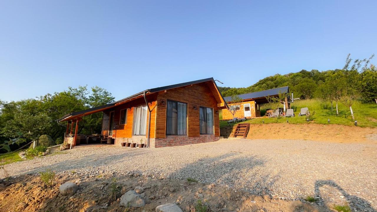 La Bârlog Loft - B&B Galeșu