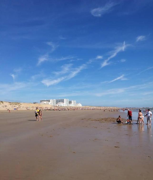 Oceandream vue sur l'ocean 6 personnes Nouveau ! - B&B La Parée Preneau