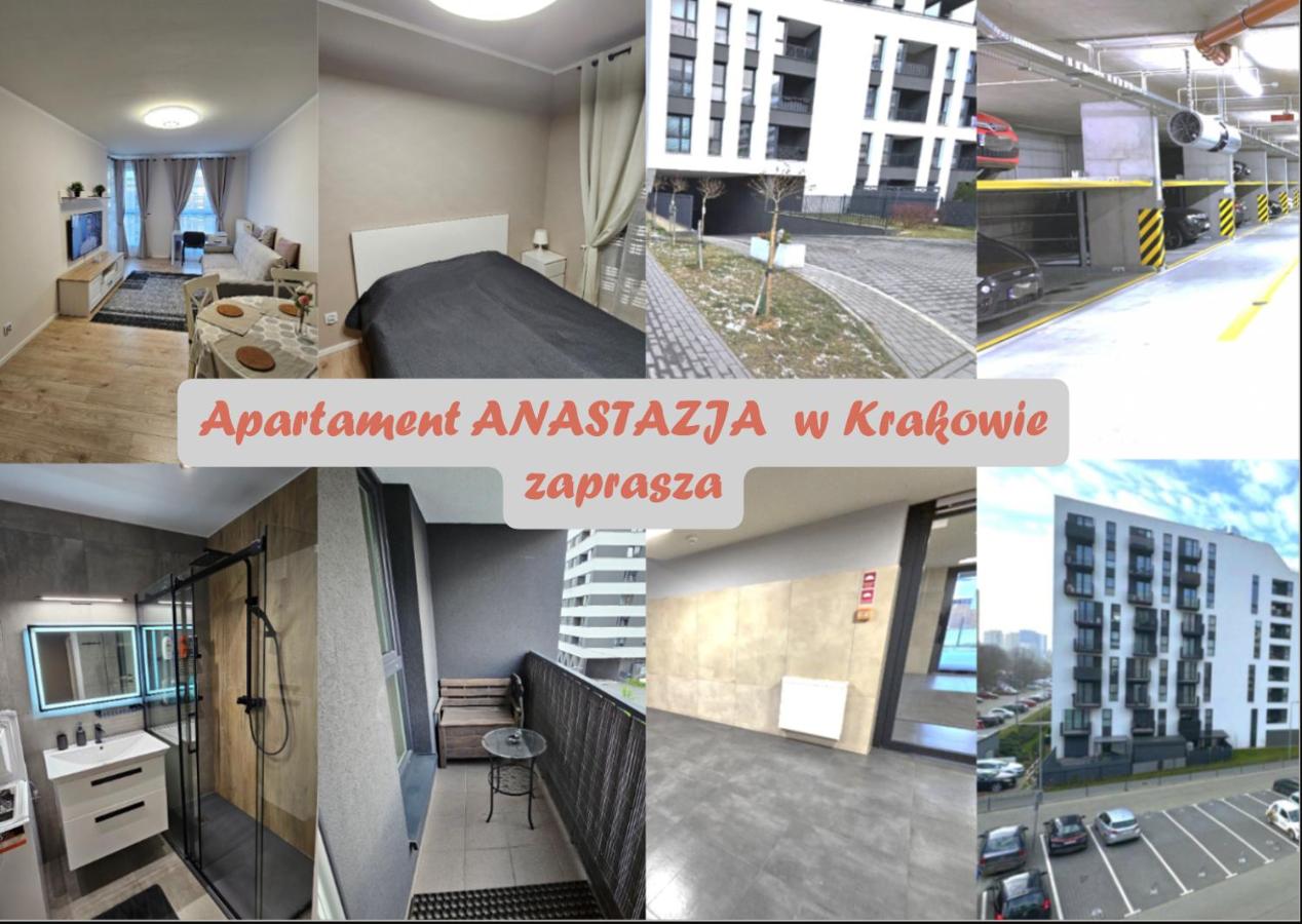 Apartament Anastazja FREE PARKING - B&B