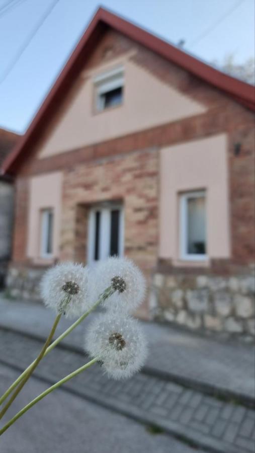 Pitypang Vendégház Dorog - B&B