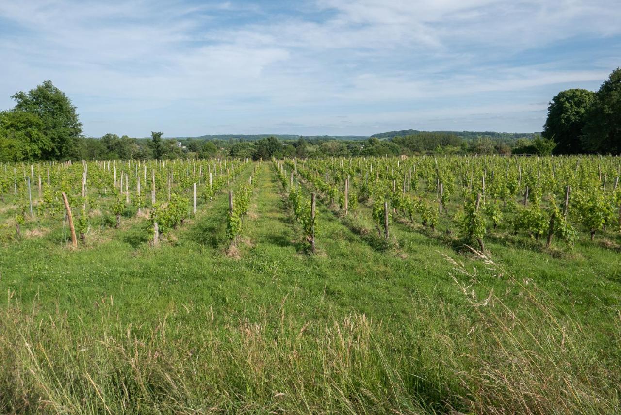 Le petit Santafé - Bed and Breakfast Port-Sainte-Foy-et-Ponchapt