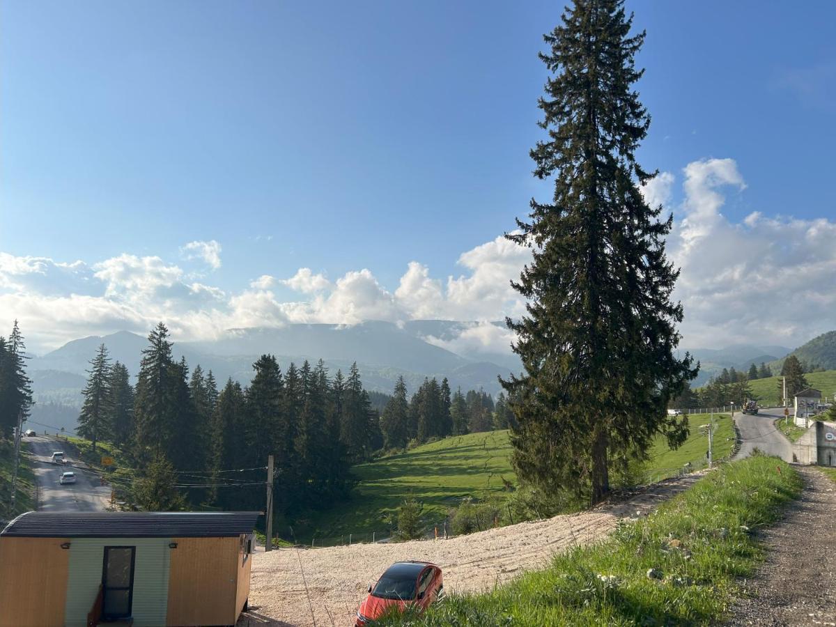 Le Virage Lodge - B&B Dâmbovicioara