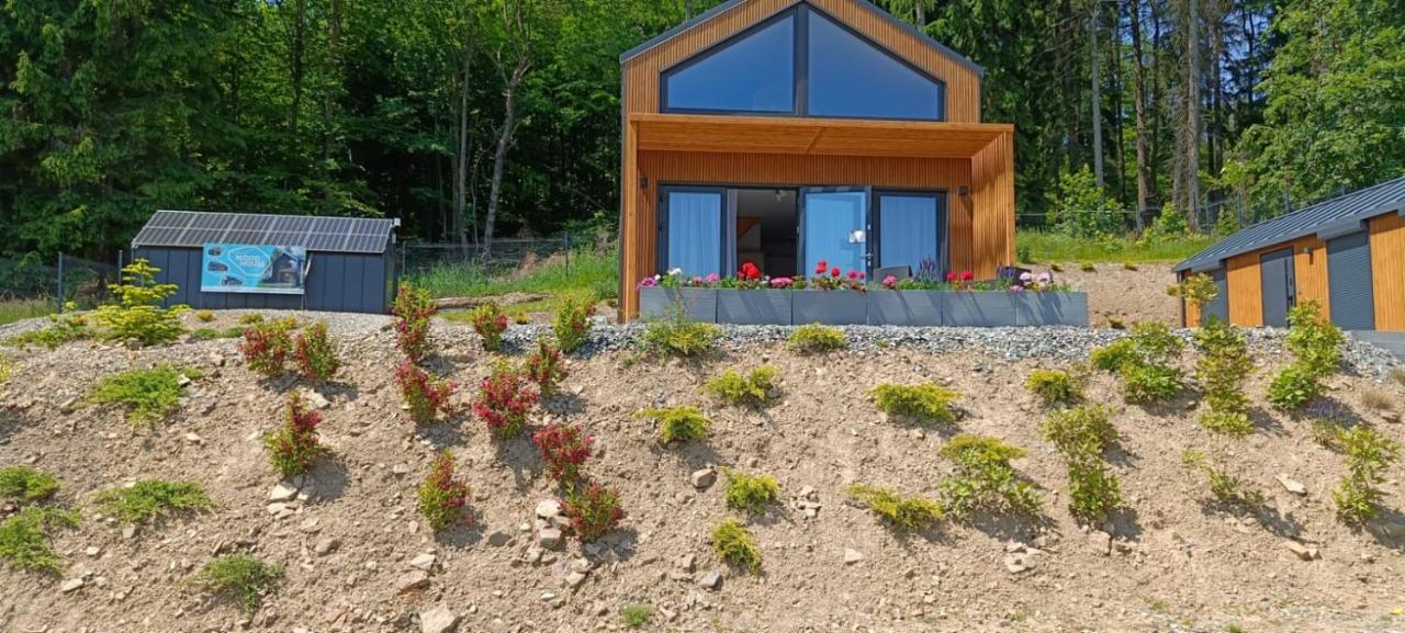 Domek Wilk - B&B