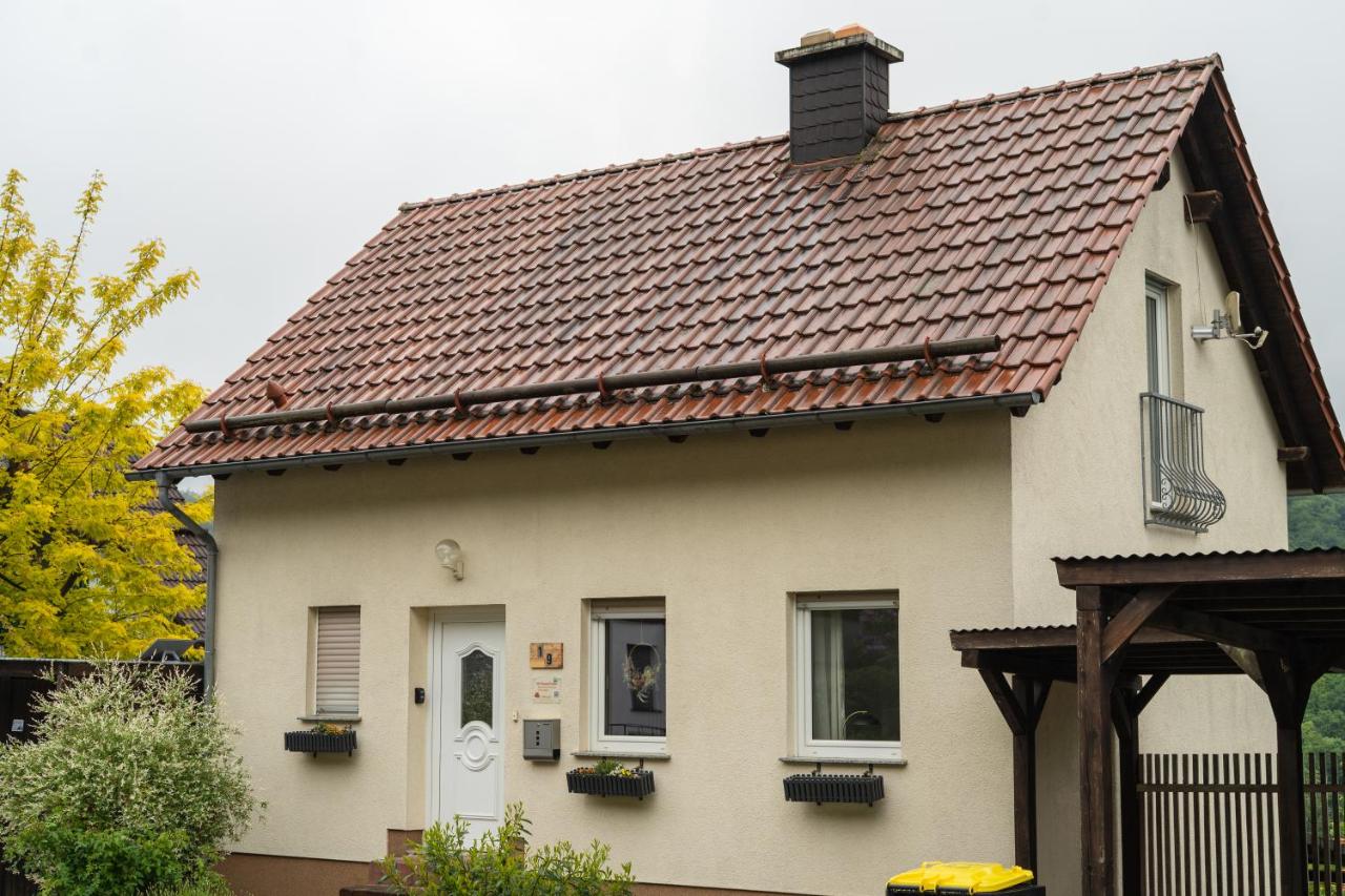 NEU im Harz, Das Haus am Wald mit privater Sauna, frisch renoviert - Ferienwohnung Walkenried