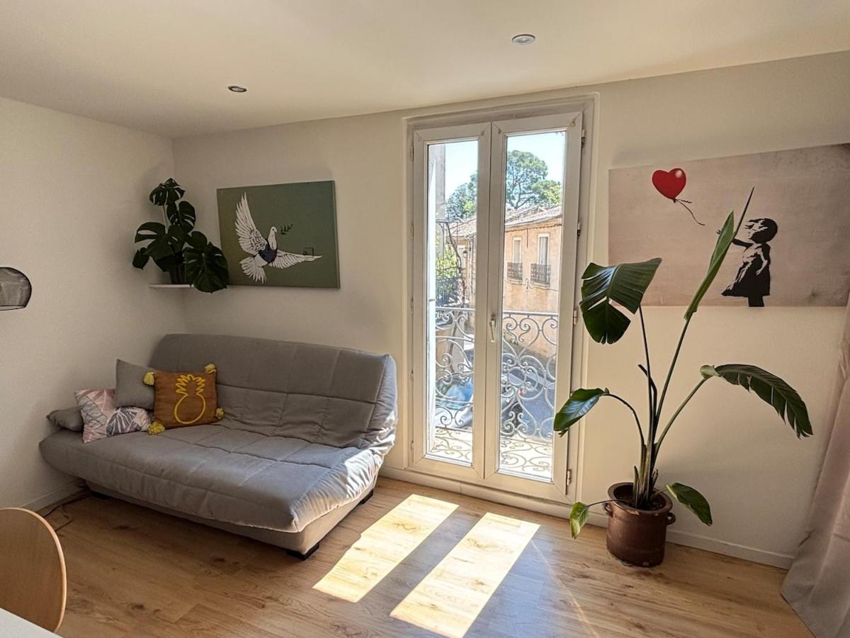 Appartement familial centre Saint-Georges d'Orques - B&B