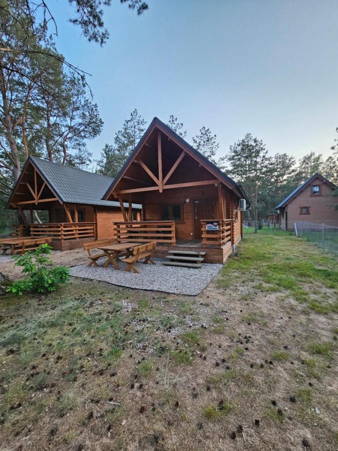 Leśna Przystań Borsk - B&B Borsk