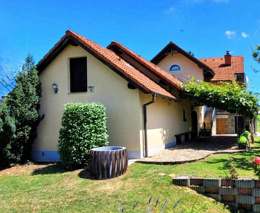 Villa Nives, wine region Jeruzalem - Ferienwohnung Ivanjkovci