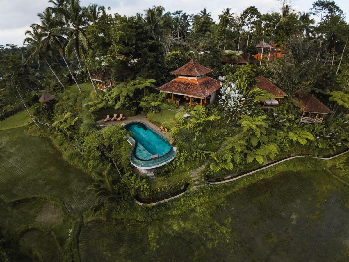 Dewi Tara Haven - B&B