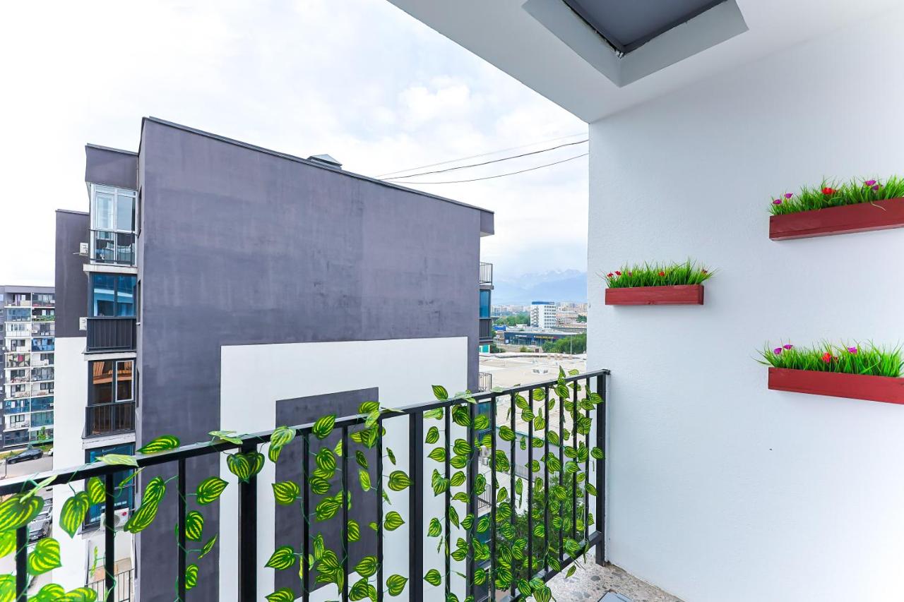 1 room apartment CITY PLUS 1 - B&B
