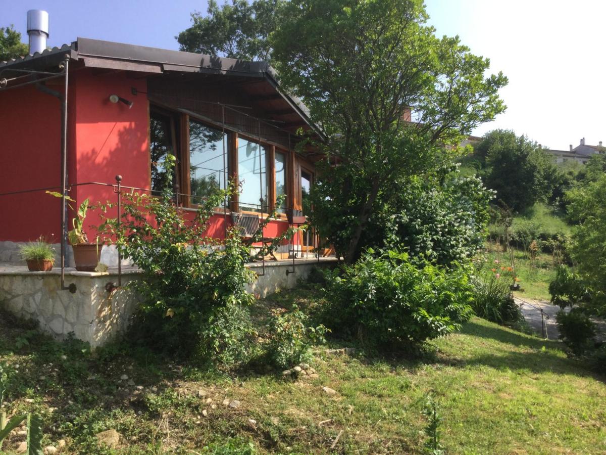 Elisa's house - B&B Oliveto