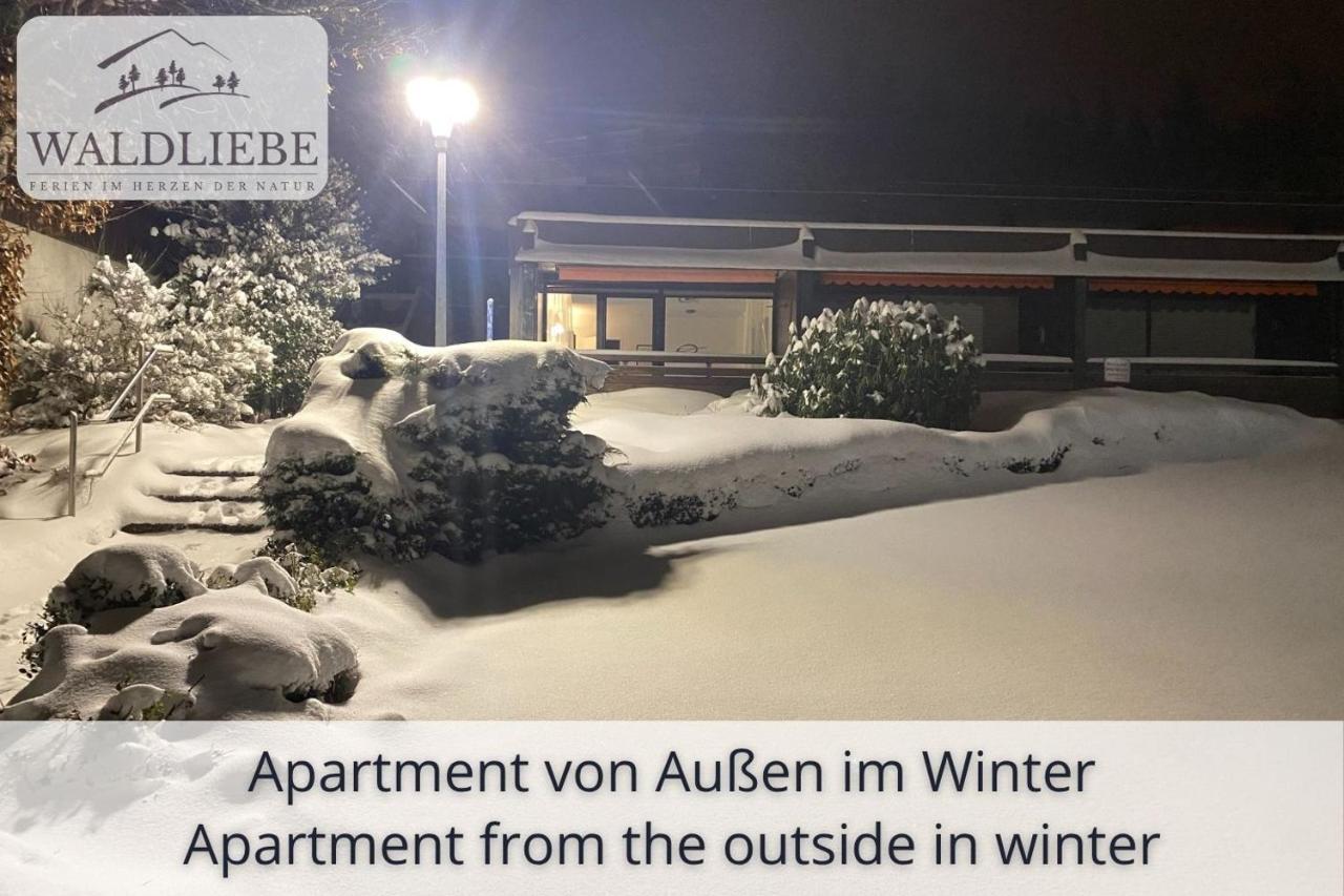 NEU Exklusives Apartment Waldliebe mit Indoor-Pool, Sauna, top Lage und Ausblick in die Natur, Hunde willkommen - Bed and Breakfast Schonach