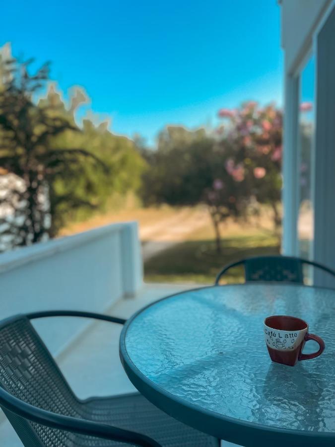 Apartamento con vistas al jardín