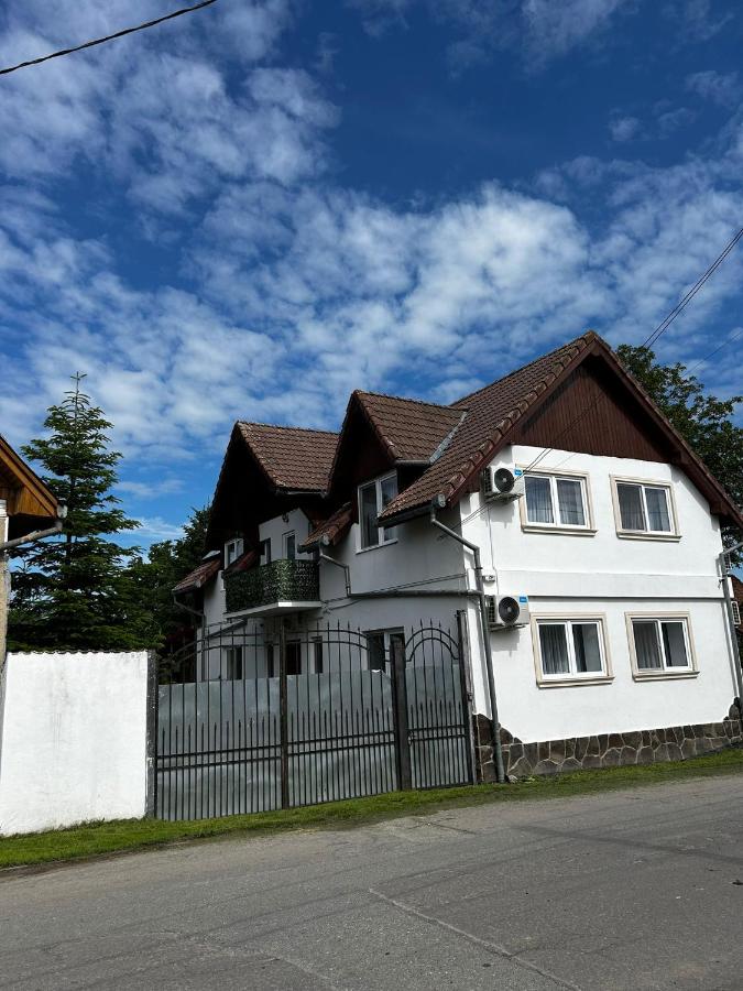 Casa cu brazi - B&B