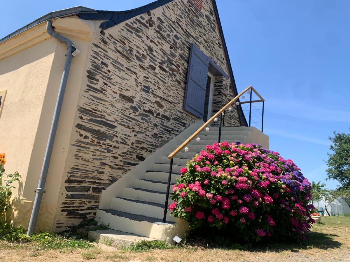 Appartement à la Bourrelière 2-4 pers - B&B