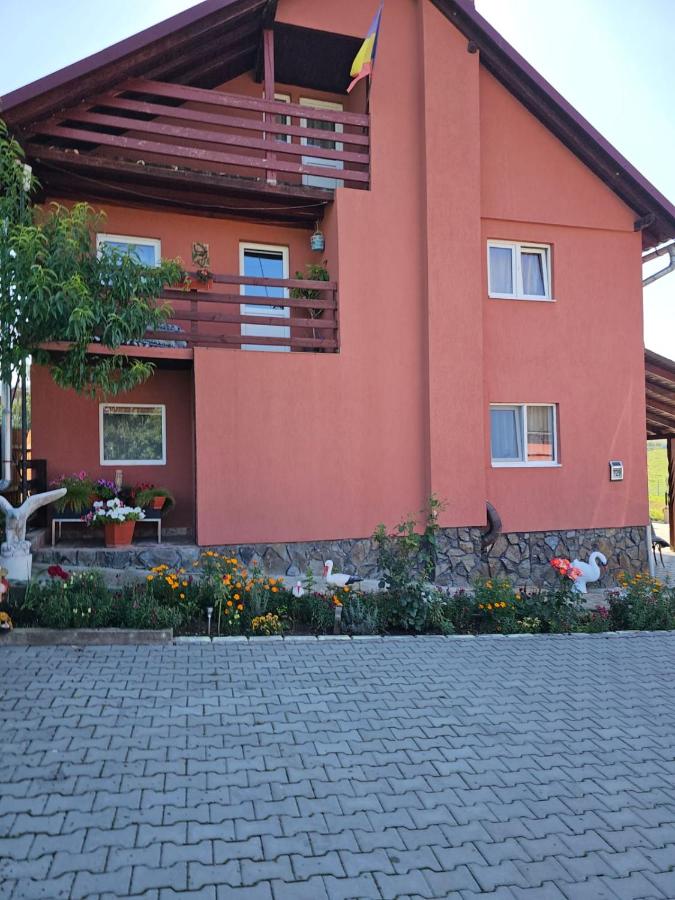 Pensiunea Vilcan - Chambres d’hôtes Fundoaia