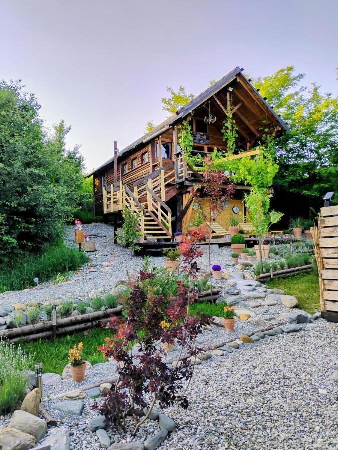 479 Tiny House, Domeniul von Agodt - Bed and Breakfast Bradu