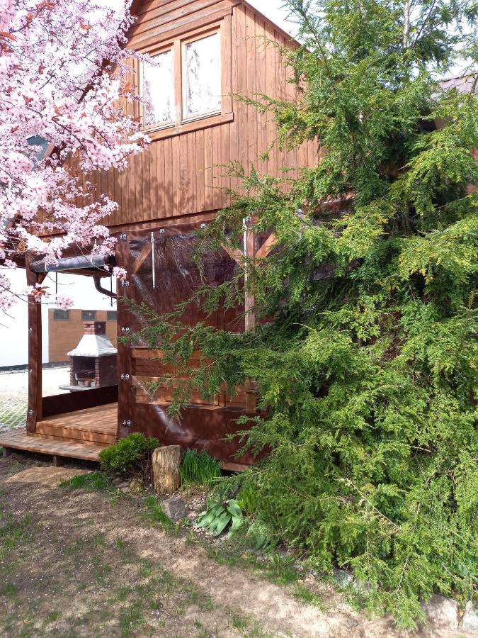 Domki Muszelka - Bed and Breakfast Stegna