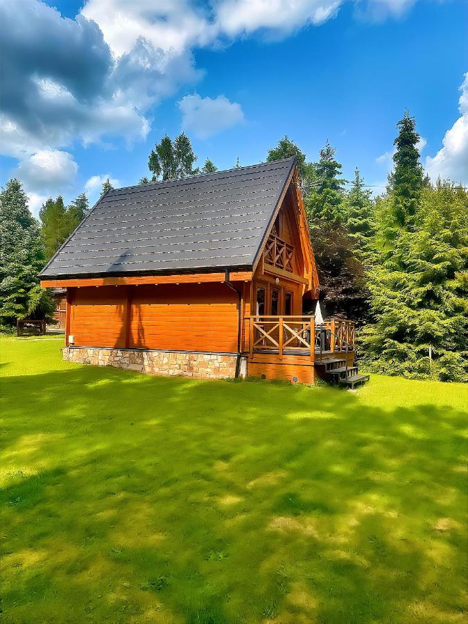 Janosik Komfort - drewniany domek z kominkiem w ogrodzie pełnym zieleni, na zacisznym Podhalu - Ferienwohnung Łopuszna