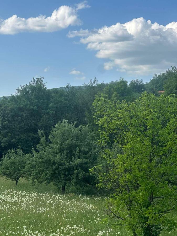 Mirina village house - B&B