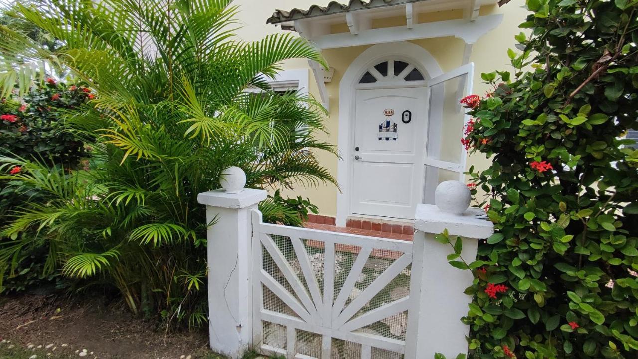 Caribe Home Dominicus Ginepro 3 - B&B