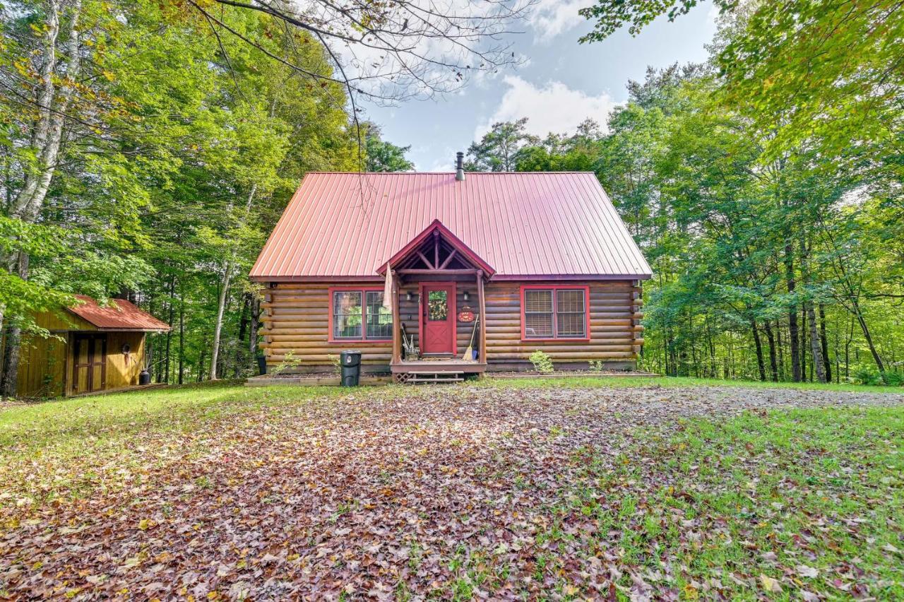 Gore Mountain Cabin Game Room and Fire Pit - B&B North Creek