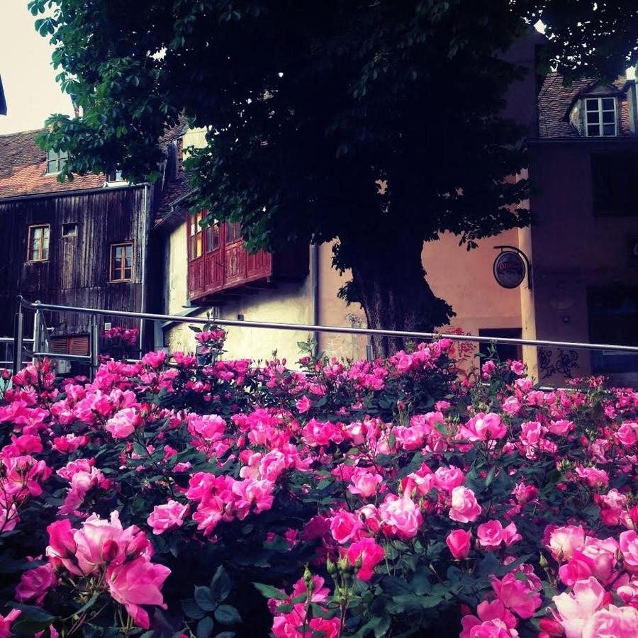 Apartment History - B&B Zagreb