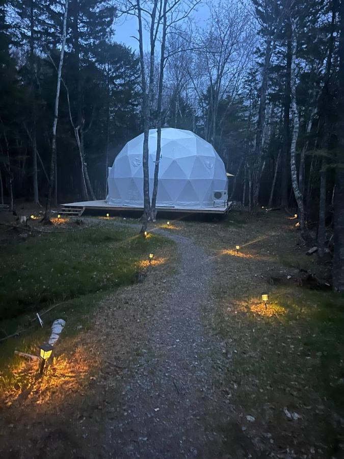 Bubbles - B&B