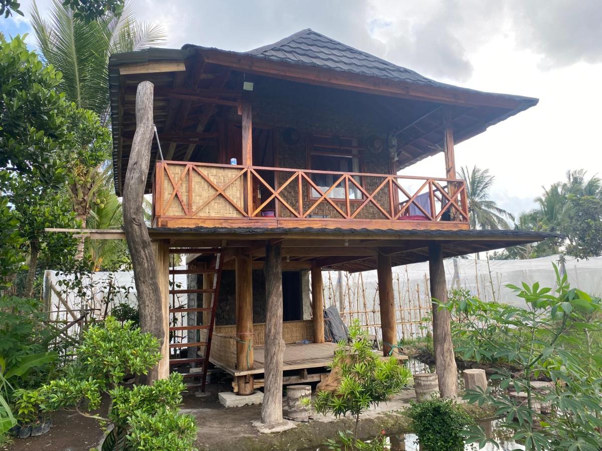 Alang Cottage - Bed and Breakfast Masbagik