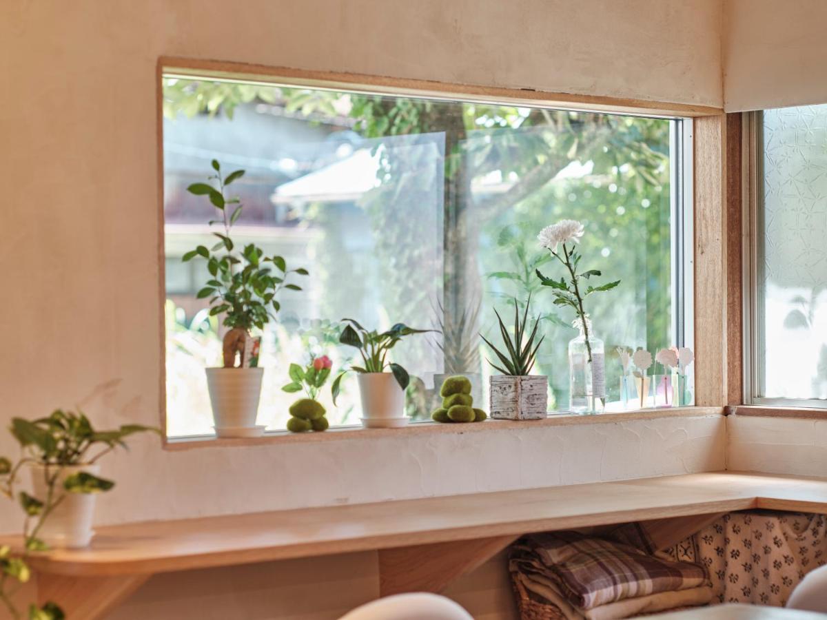 Tipy records inn nook - B&B