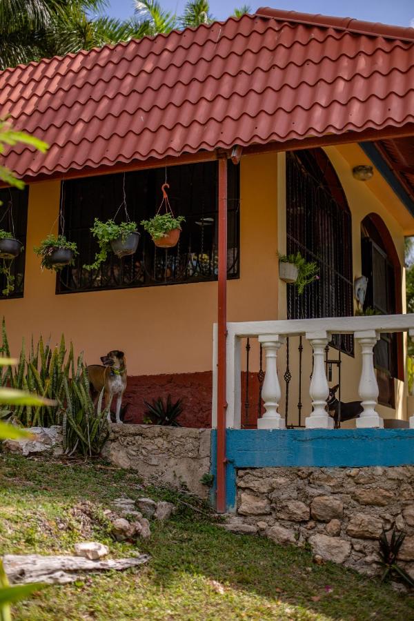 Standard Villa