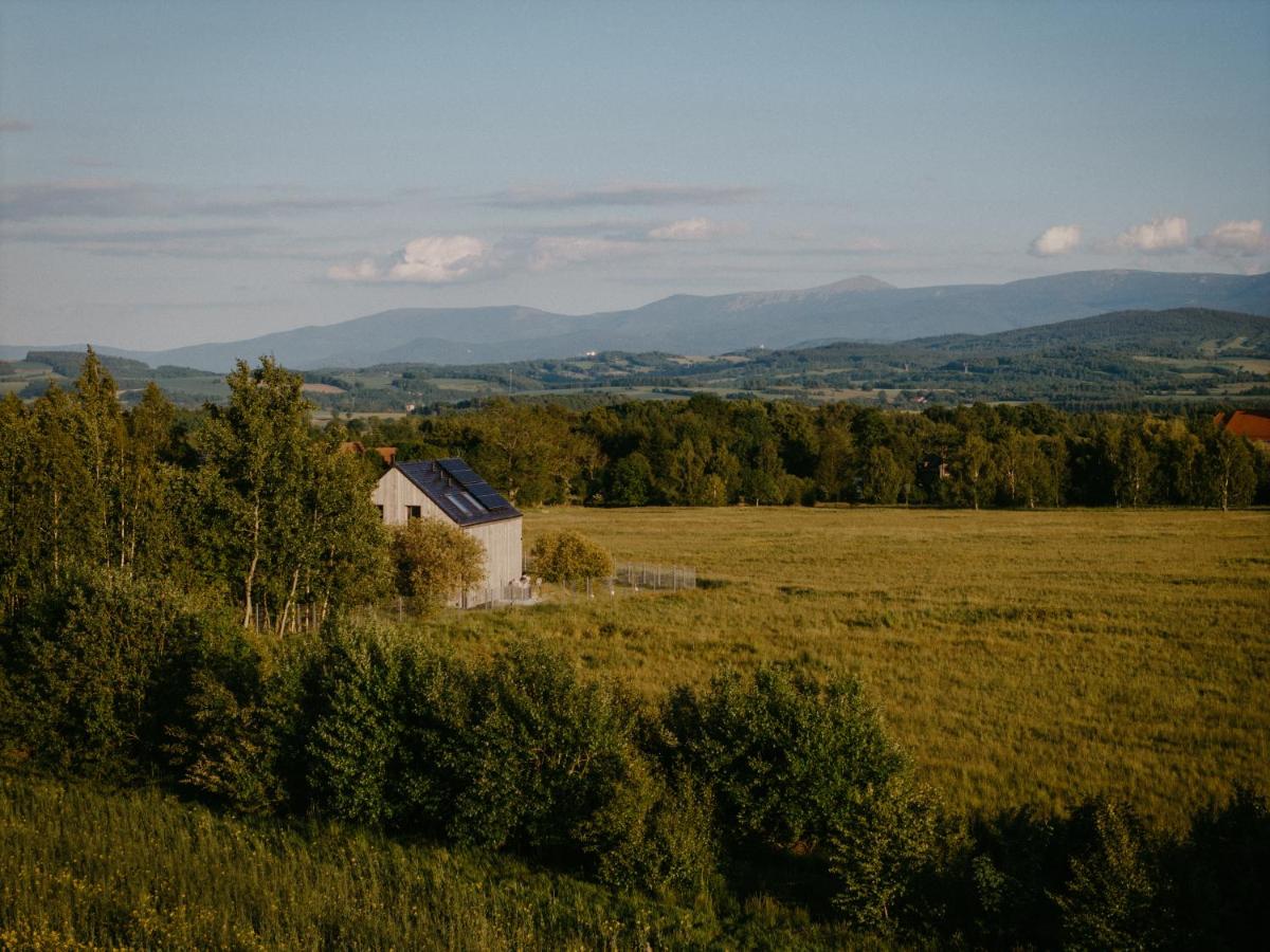 Cozy Izeria - B&B Grudza