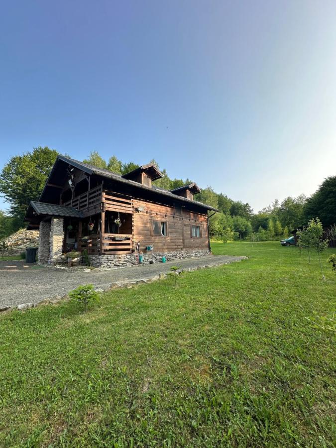 Forest Queen Maramureș - B&B